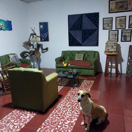 Casaca Concepción de Ataco Exterior foto