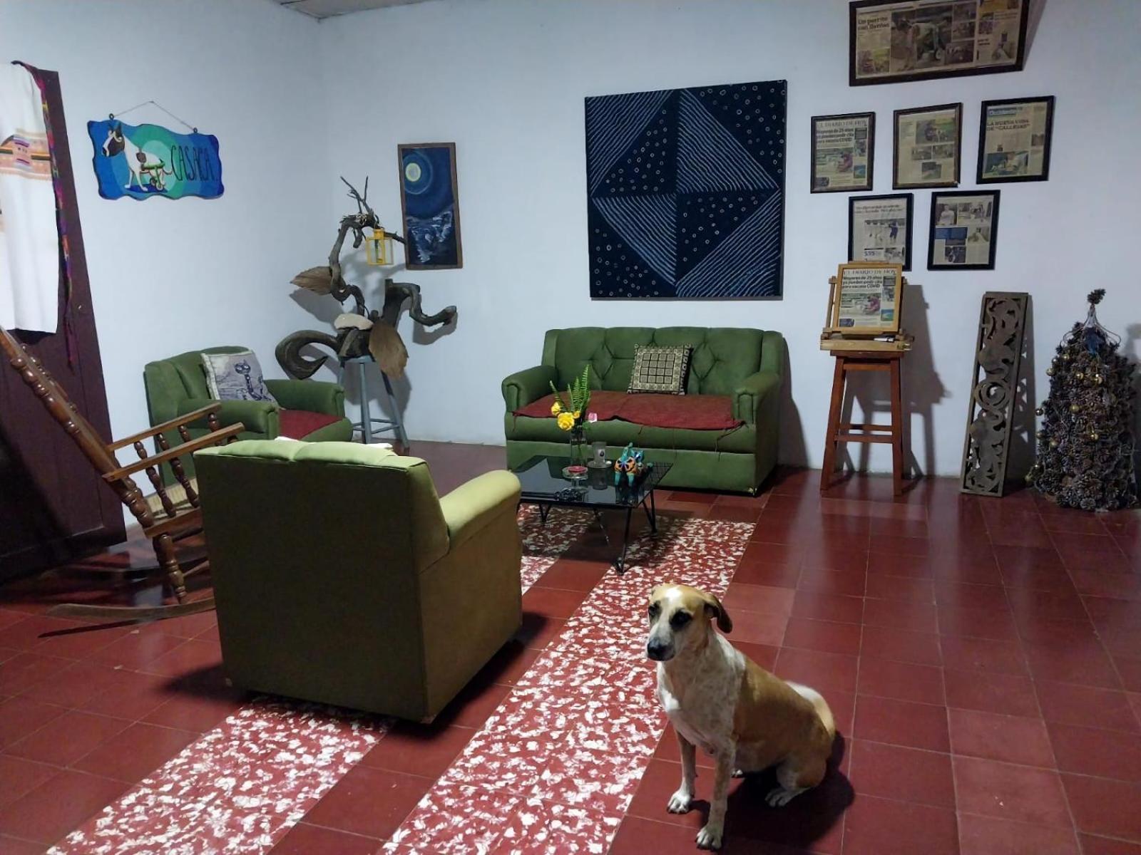 Casaca Concepción de Ataco Exterior foto